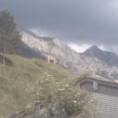 バート・ヒンデラング Holzhaus Beslerヴィラ エクステリア 写真